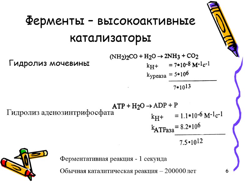 6 Ферменты – высокоактивные катализаторы   Гидролиз мочевины   Гидролиз аденозинтрифосфата Ферментативная
